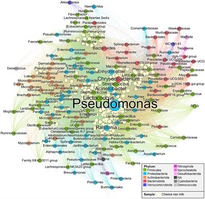 Lactic acid bacteria in cow raw milk for cheese production: Which and how many?